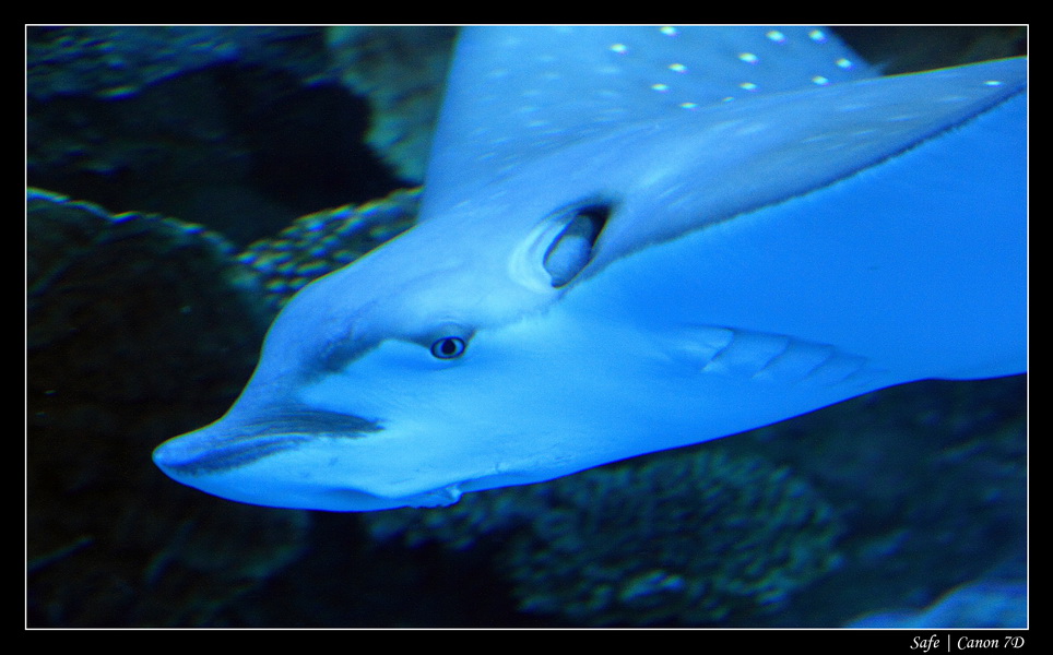 2012 - 06 - Dubai - 147